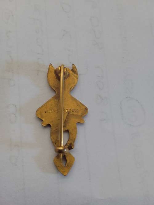 Good Luck charm/pin circa 1920