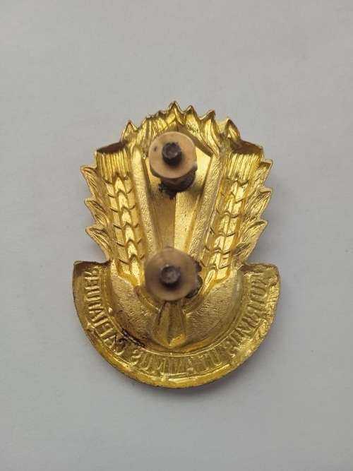 SADF Catering corps  badge