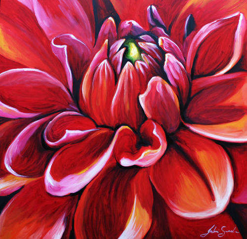 FIERY RED DAHLIA FLOWER!