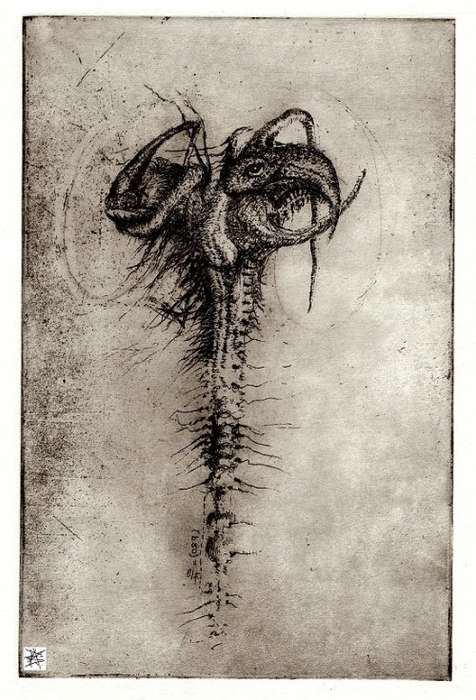 Original South African Symbolist Art: SQUARE ROOT - Copperplate Etching by Ras Steyn - 2/2 Edition
