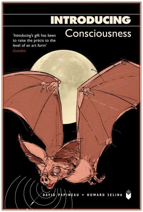 INTRODUCING Consciousness - David Papineau and Howard Selina - Icon Books - LIKE NEW *