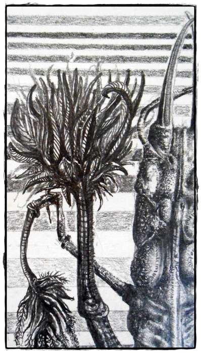 Original Art by SA Surrealist Ras Steyn Lead Drawing `Insectness` as a psychological disorder` SALE!