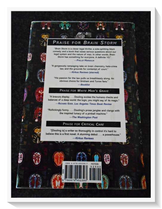 RICHARD DOOLING: Brain Storm - First Edition Hardcover - 1998 - Random House - B+ Very Good*