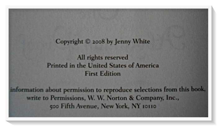 Jenny White: The Abyssinian Proof - First Edition - 2008 - Norton & Company - Condition: A