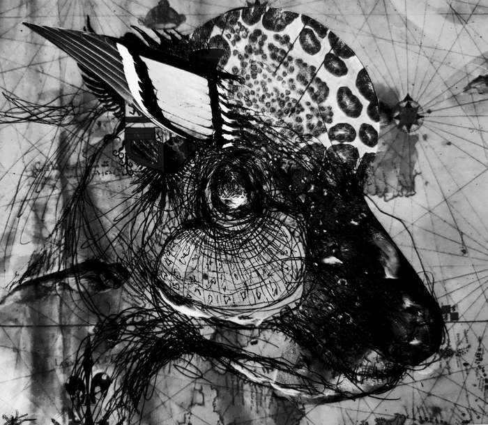 HUMAN-CENTRED ART by Ras Steyn Title: FOXY LADY ( B &We Print - Single Edition 1/1)