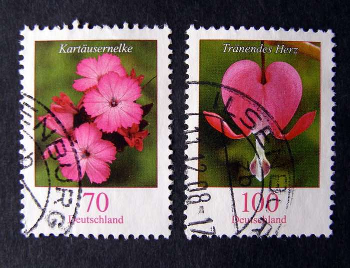 GERMANY - Flowers 2005