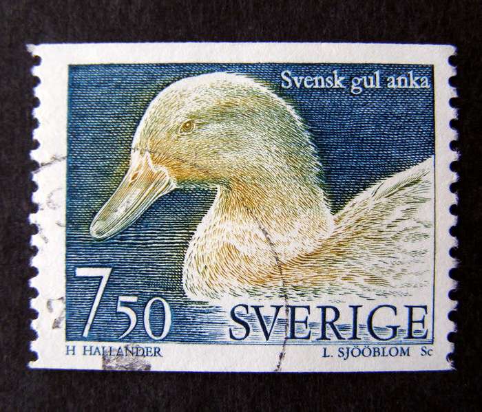 SWEDEN - Domestic Animals 1995 //Birds