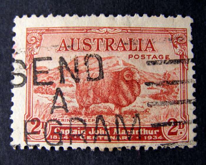 AUSTRALIA - Sheep Farming 1934