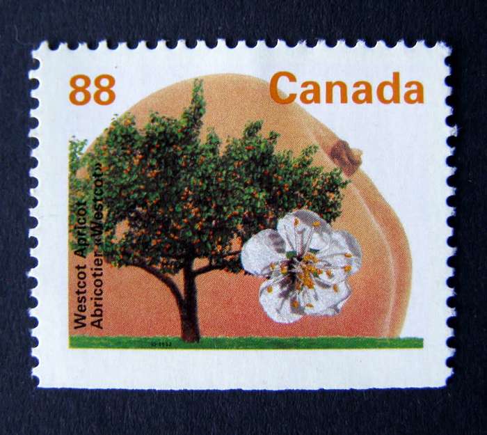 CANADA Mint - Fruit Trees 1991