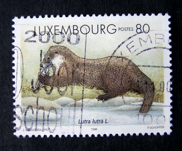 LUXEMBOURG - Mammals 1996 //Animals