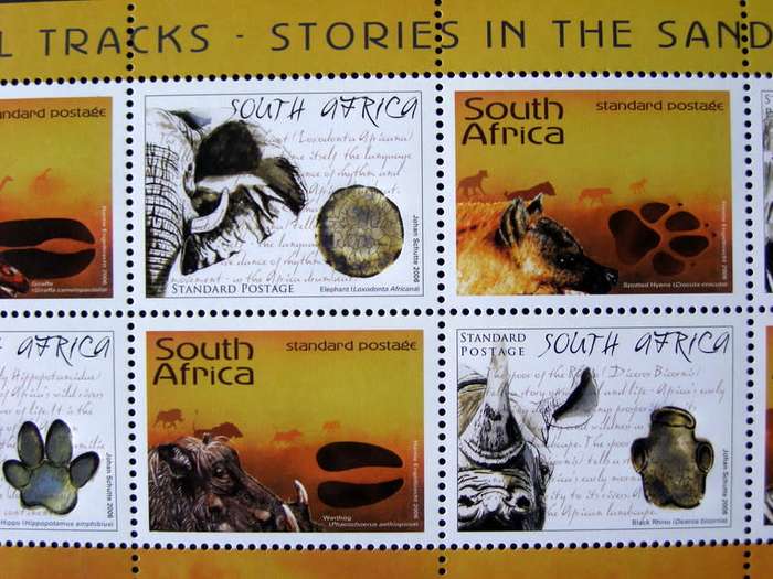 SOUTH AFRICA Mint* Set - Animal Tracks 2006