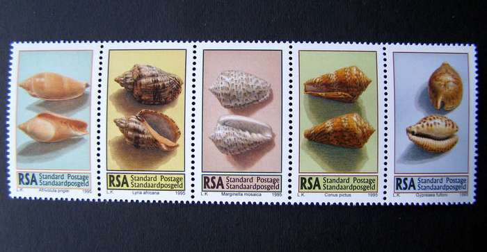 SOUTH AFRICA Mint Set - Sea Shells 1995