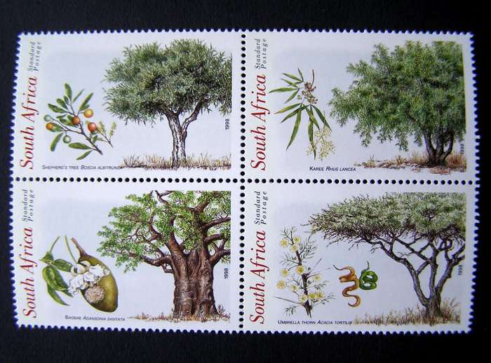 SOUTH AFRICA Mint Set - Indigenous Trees 1998