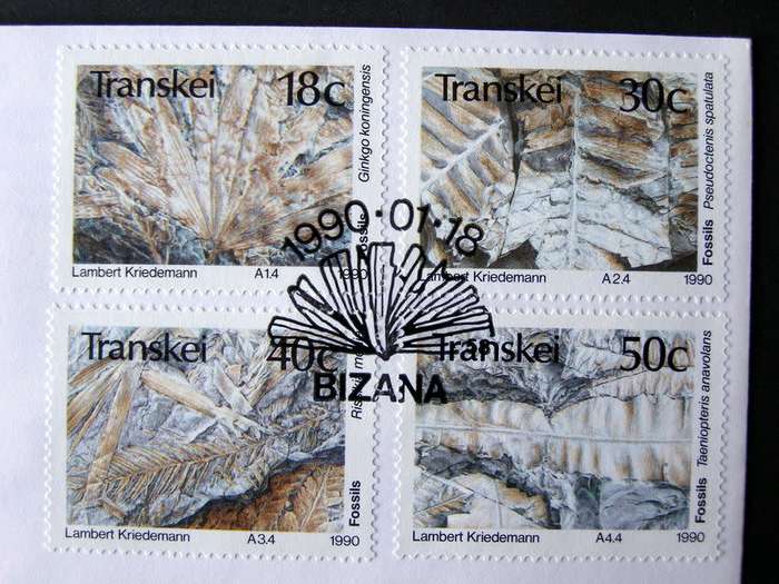 TRANSKEI Cover - Fossils 1990