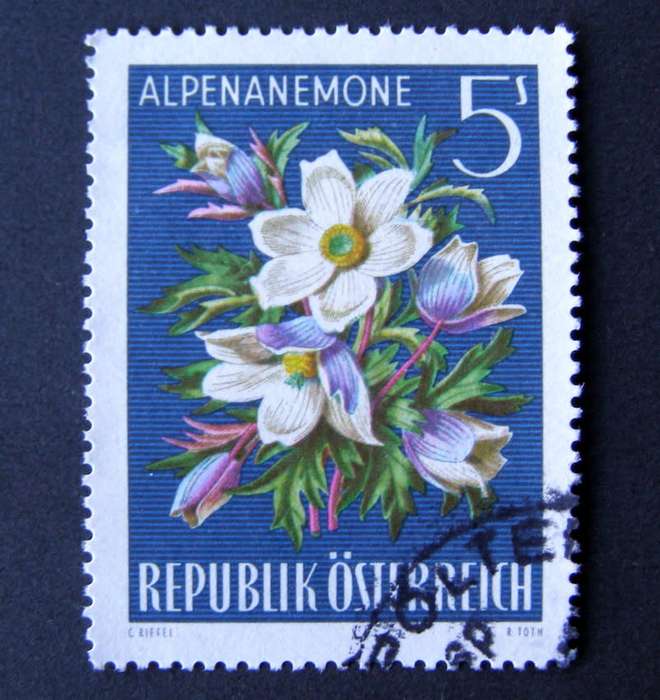 AUSTRIA - Alpine Flora 1966 //Flowers
