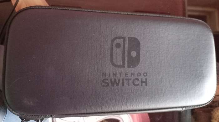 Switch Travel Case