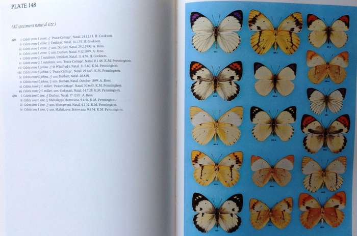 Pennington`s Butterflies of Southern Africa - C G C Dickson and D M Kroon