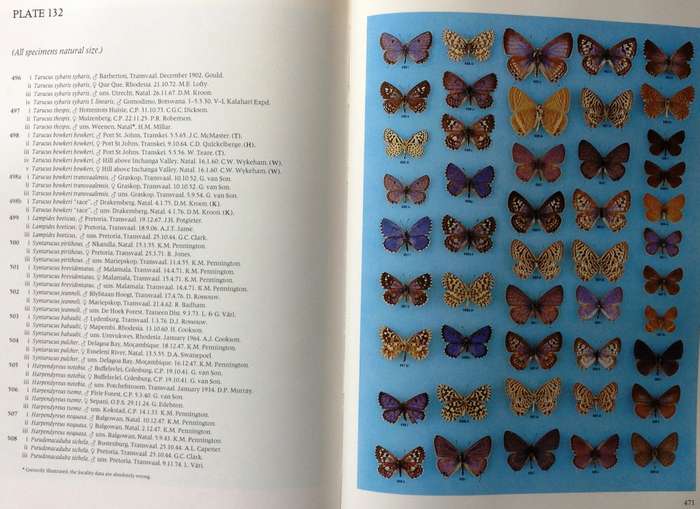 Pennington`s Butterflies of Southern Africa - C G C Dickson and D M Kroon