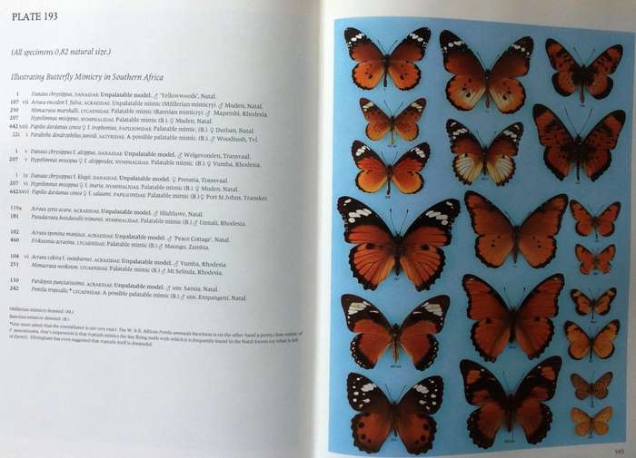 Pennington`s Butterflies of Southern Africa - C G C Dickson and D M Kroon
