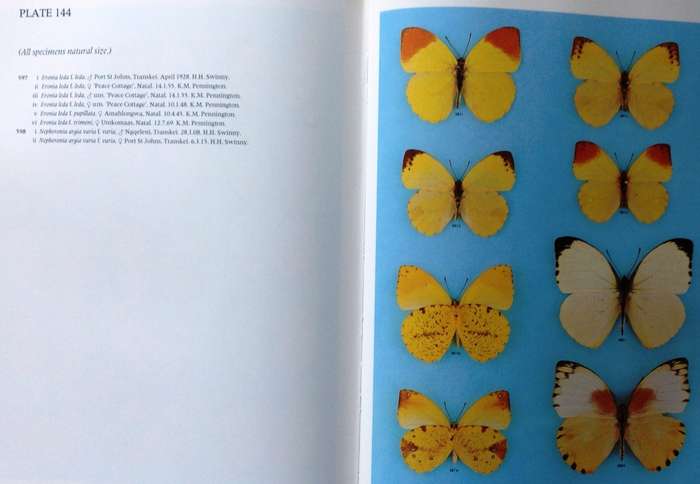 Pennington`s Butterflies of Southern Africa - C G C Dickson and D M Kroon