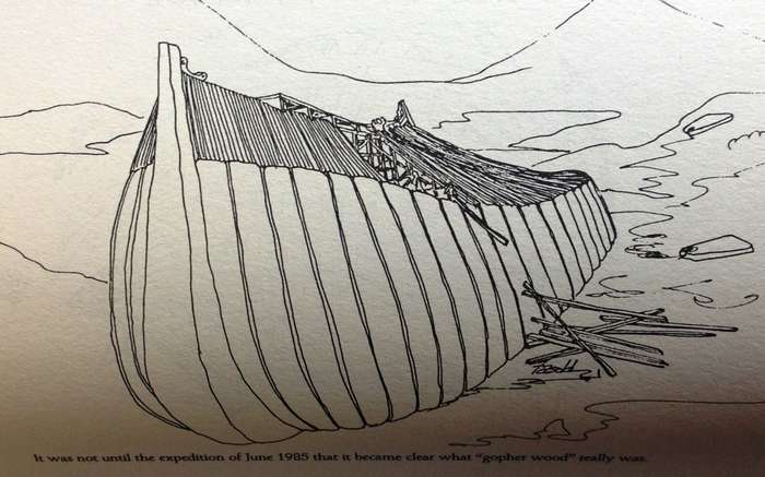 The Discovery of NOAH`S ARK - David Fasold - Hardcover