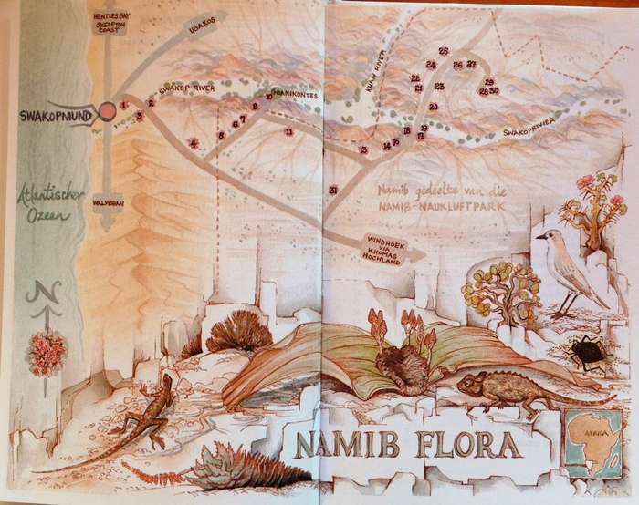 NAMIB FLORA - Swakopmund to the Giant Welwitschia via Goanikontes - P Craven and C Marais