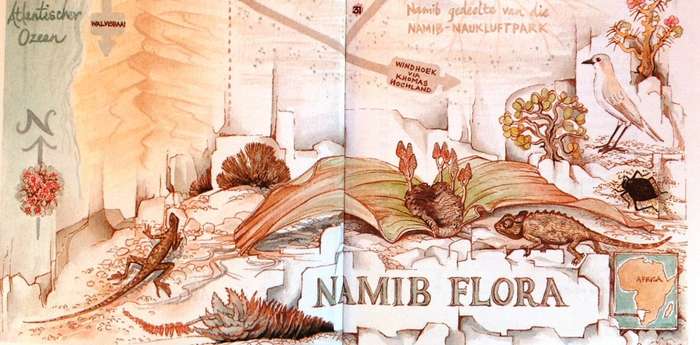 NAMIB FLORA - Swakopmund to the Giant Welwitschia via Goanikontes - P Craven and C Marais
