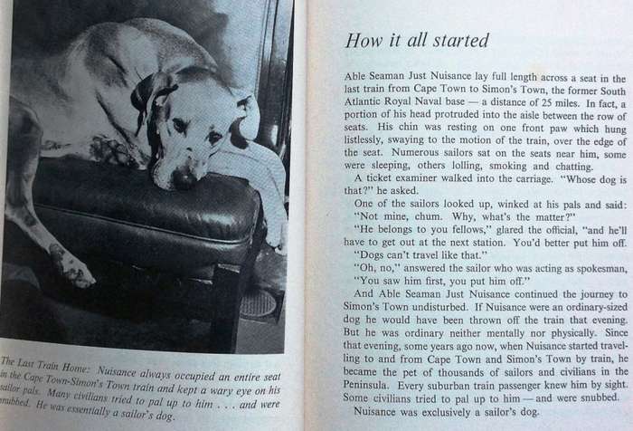 Just Nuisance - True story of an Able Seaman who led a Dog's Life - Leslie M Steyn