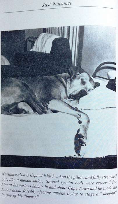 Just Nuisance - True story of an Able Seaman who led a Dog's Life - Leslie M Steyn