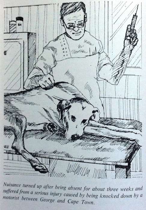 Just Nuisance - True story of an Able Seaman who led a Dog's Life - Leslie M Steyn
