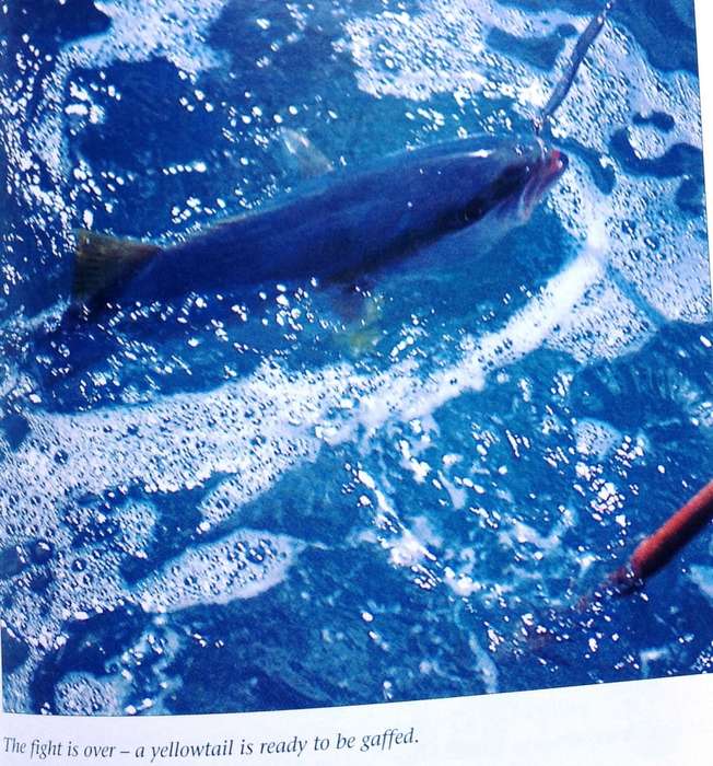 Saltwater Fishing in South Africa - Hennie Crous