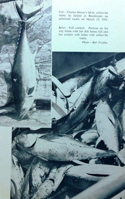 Big Game Fishing in South Africa - Charles Horne - Hardcover
