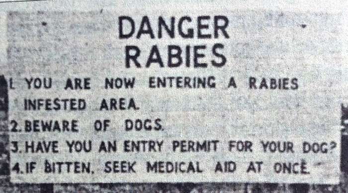 Mad Dogs and Meerkats - A History of Resurgent Rabies in Southern Africa - Karen Brown