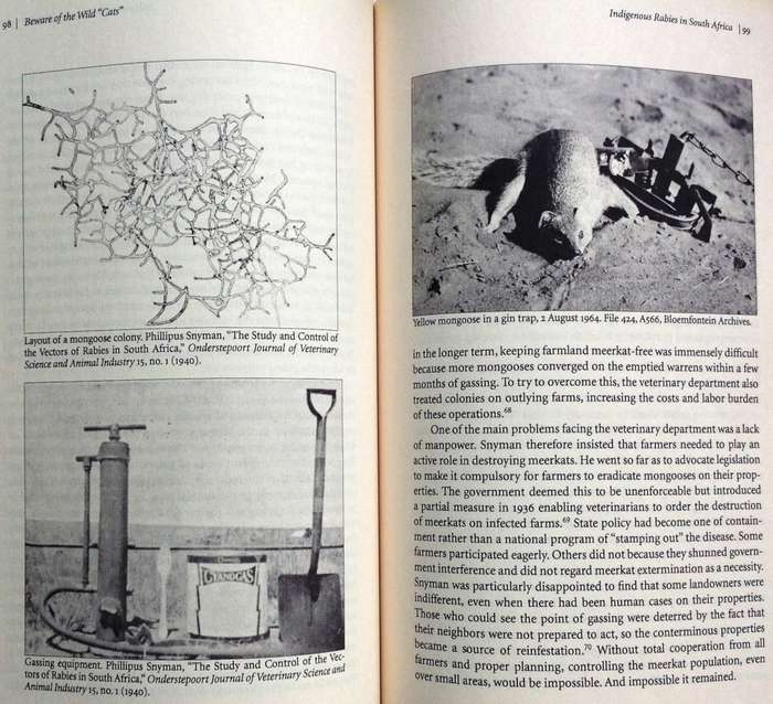 Mad Dogs and Meerkats - A History of Resurgent Rabies in Southern Africa - Karen Brown