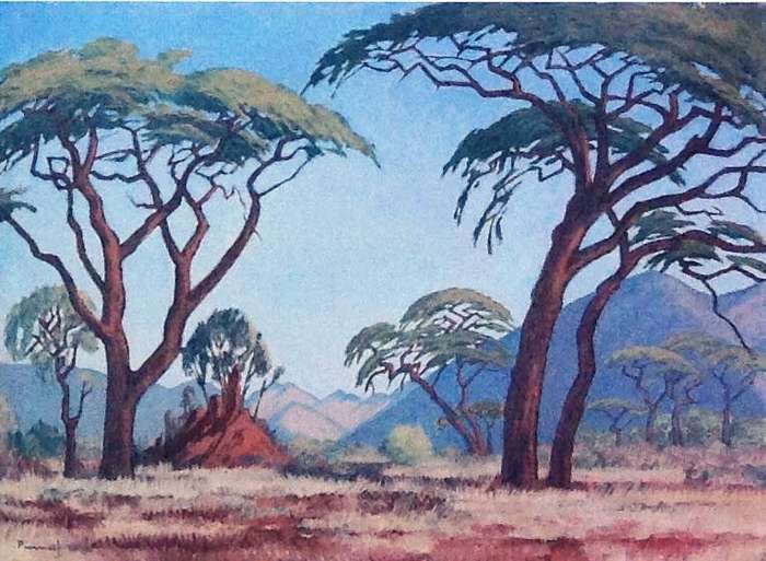 The Modern Palimpsest - Envisioning South African Modernity - Grahams Fine Art Gallery - Ltd edition