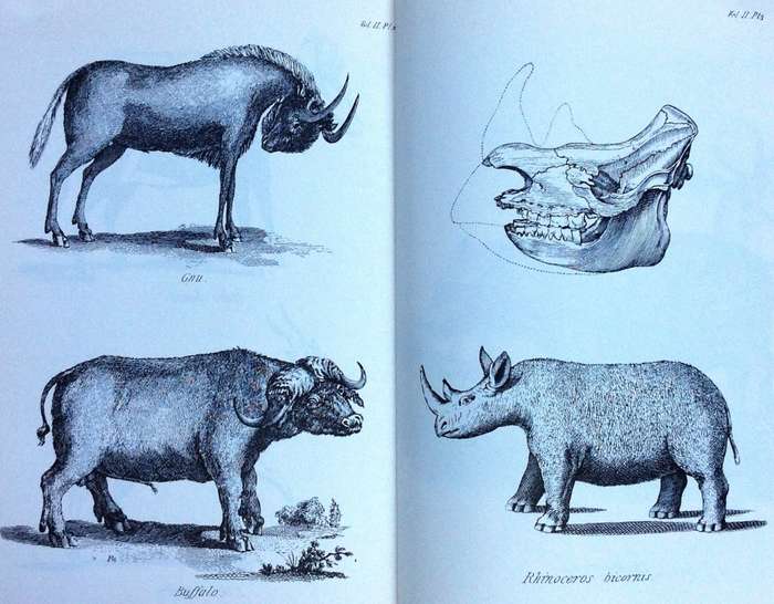 Anders Sparrman - Travels in the Cape - Van Riebeeck Society 1772 - 1776 - Volumes 1 & 2