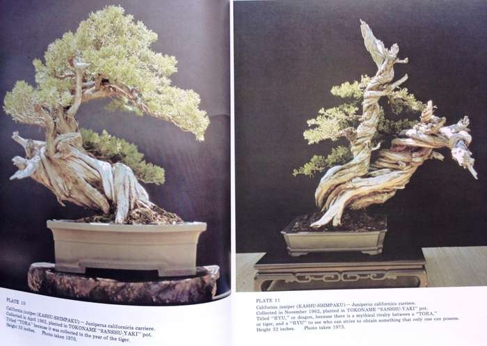 Bonsai Techniques I - John Yoshio Naka