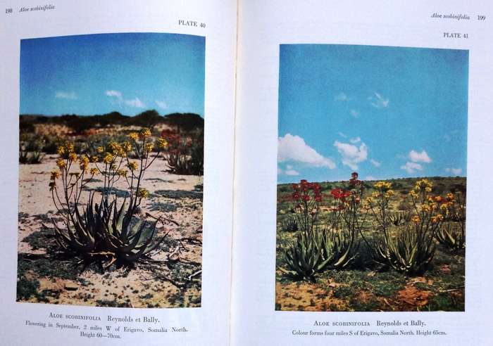 The Aloes of Tropical Africa and Madagascar - Dr G W Reynolds - Hardcover - Signed by Author