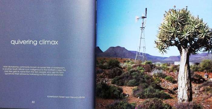The Climax Collection-The secret life of windmills-Volume 1 and Volume 2-Max and Sue Hoppe-signed