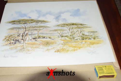 WOW. Scenic Zimbabwe 6 Colour Prints - art by Chrystal Wynn - Signed by artist