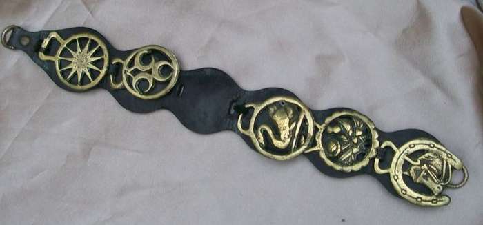MARTINGALE WITH HORSE BRASS