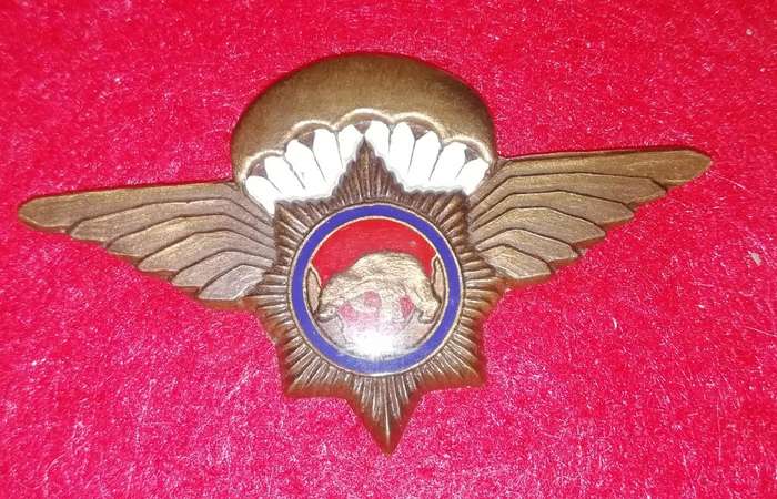 VLAKPLAAS WING