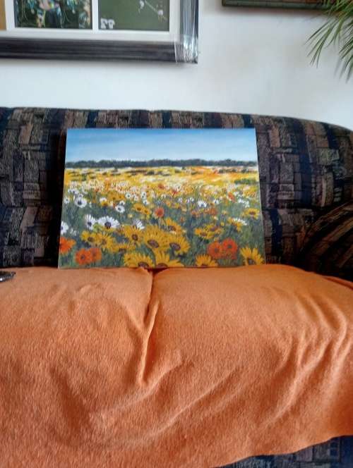 West coast Flowers,Johanette van Deventer