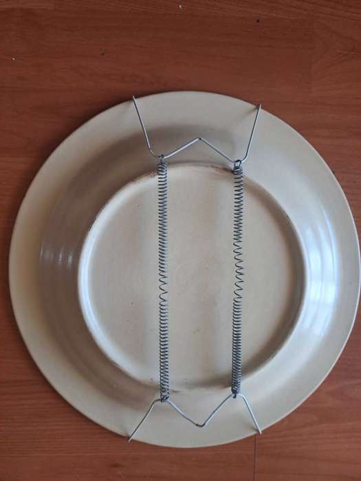 Beautiful Jock of the Bushveld Commemorative Plate