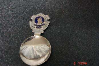COLLECTABLE SPOON