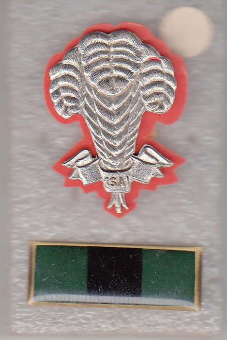 1 S. A INFANTRY CAP BADGES ALL PINS
