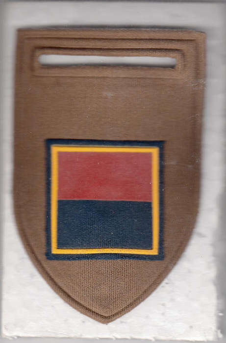 COMPANY/SQUADRON ARM FLASH [B]  COY 1 PIN