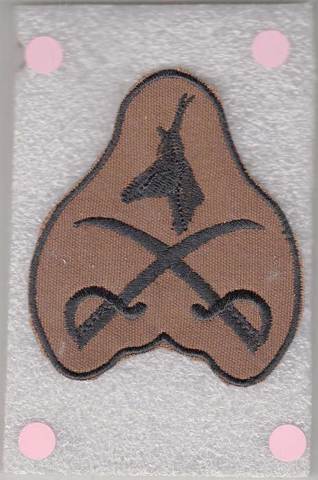 P T INSTRUCTOR BADGE