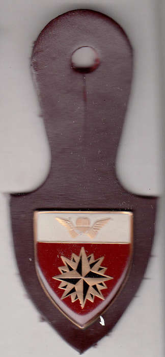 5 SPECIAL FORCES REGIMENT AFFILIATION BADGE ALL PINS original
