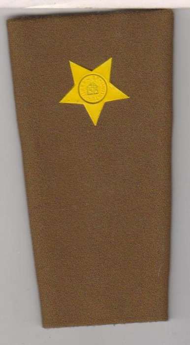 2 nd LIEUTENANT RUBBERISED RANK  FIELD DRESS